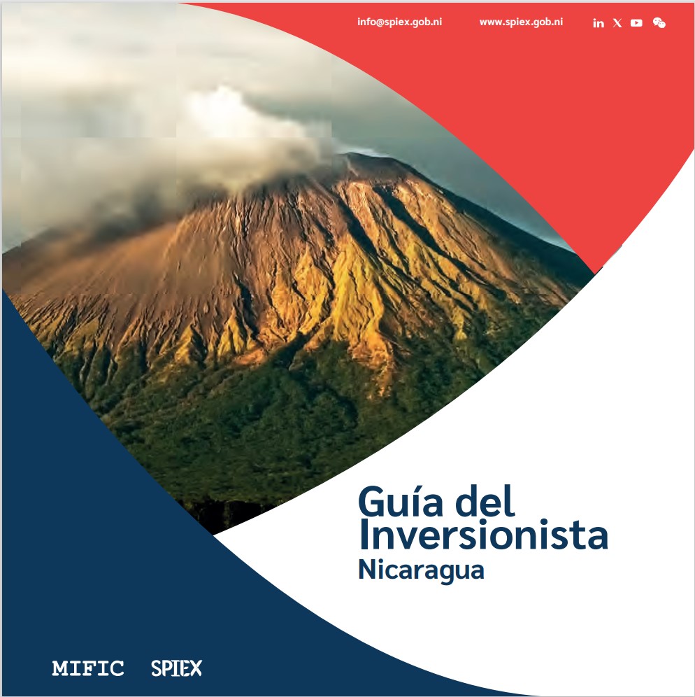 Guía del Inversionista 2024
